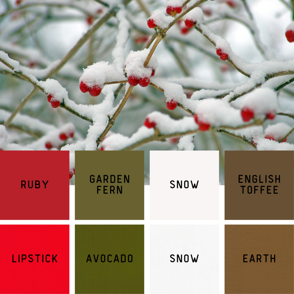 Winter berries snow holiday color palettes